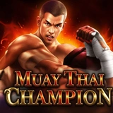 Muay Thai Champion